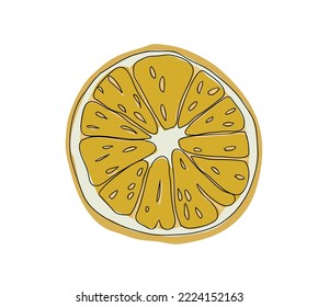 Pieza o rebanada de limón fresco aislada sobre fondo blanco. Cítricos amargos amarillos. Caricatura realista al estilo de la ilustración portadora a mano de la exótica comida aromática tropical.