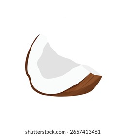 Pedazo, rebanada de coco maduro fresco. Aislado sobre fondo blanco. Ilustración vectorial