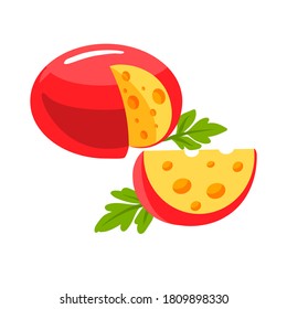 Pieza de queso en rodajas Iconos vectoriales modernos de estilo plano realista aislados en fondo blanco