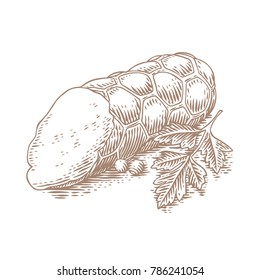 Piece of smoked sausage with fresh green parsley
