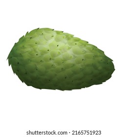 Cartoon-Vektorgrafik von Piece Soursop-Ikone Graviola annona. Blattfrucht