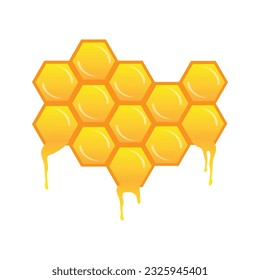 piece of sticky and tasty hexagonal bee honeycombs