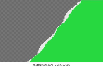 Piece of torn and horizontal green paper with soft shadow is on squared background for text, Torn paper rolled strip over grey realistic vector illustration. Teared page. Destroyed document sheet 3d.