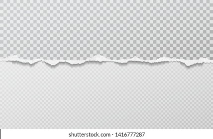 Piece of torn horizontal paper strip is on squared background. Vector illustration