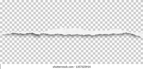 Piece of torn horizontal squared paper strip. Vector illustration