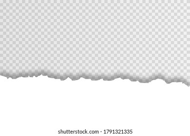 Piece of torn horizontal squared paper strip. Transparent realistic ripped paper shadow