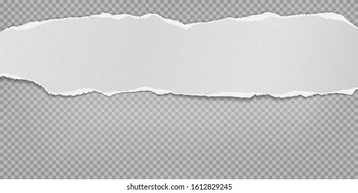 Piece of torn horizontal white paper strip with soft shadow is on white squared background. Vector illustration