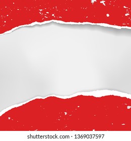 Piece of torn, ripped tattered red paper strips with soft shadow is on white background for message or advertising. Vector illustration