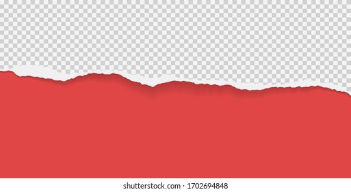 Piece of torn squared horizontal paper with soft shadow stuck on red background. Vector illustration