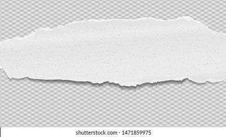 Piece of torn white horizontal grainy paper strip with soft shadow is on squared background. Vector illustration