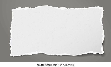 Piece of torn white horizontal grainy paper strip with soft shadow is on dark grey background. Vector illustration