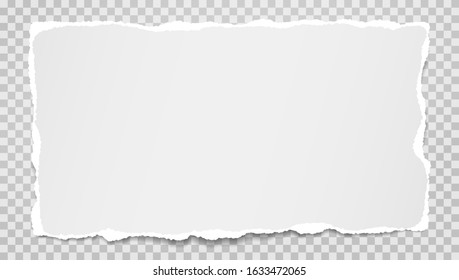 Piece of torn white and horizontal paper with soft shadow are on grey squared background for text. Vector illustration