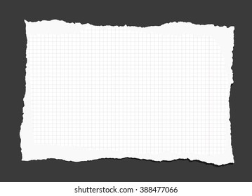 Piece of torn white lined notebook paper on black background.