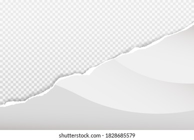 Piece of torn white paper is on transparent squared background for text, advertising or design. Vector illustration