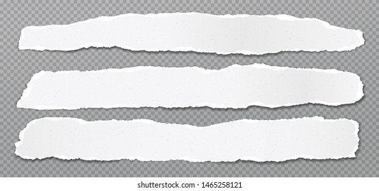 Piece of torn, white realistic horizontal paper strips with soft shadow are on grey squared background. Vector illustration