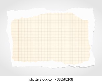 Piece of torn white squared notebook paper on gray background