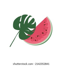 A piece of watermelon in cartoon style
