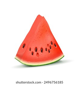 Un pedazo de sandía sobre un fondo blanco. Ilustración vectorial