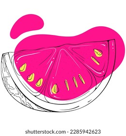 Piece of watermelon with seeds outline. Stylish sketch with abstract colored spots. Black lines with stain, blot. Vector hand drawn modern illustration isolated on white. Fruit design for print, logo