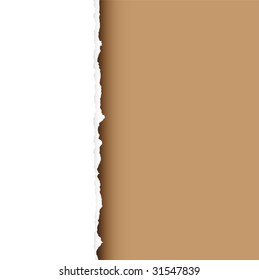 Piece Of White Paper With Torn Edge And Brown Background With Shadow