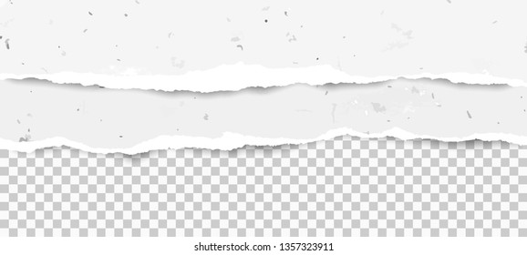 Piece of white torn recycled horizontal paper strips with squared background. Vector template illustration