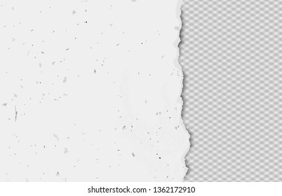 Piece of white torn recycled vertical paper strip with squared background. Vector template illustration