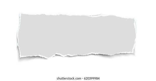 Piece of white vector torn paper.