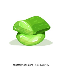 Pieces of aloe vera. Natural ingredient used in cosmetology and pharmacy. Flat vector for shampoo or moisturizer cream packaging