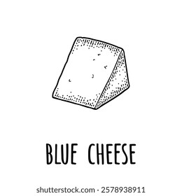 Pieces of blue cheese with mold. Vector black vintage engraving illustration isolated on white background.