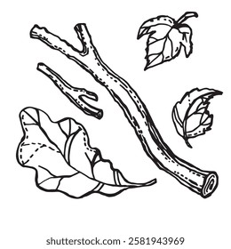 Pieces of branches and leaves