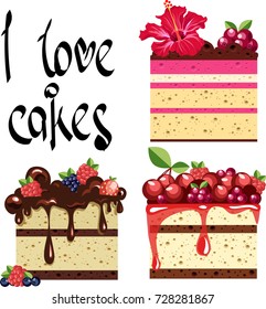 the pieces of cake. set