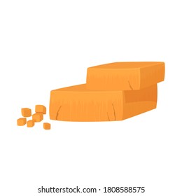 Pieces of Cheddar cheese. Realistic vector illustration isolated on white background.