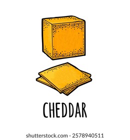 Pieces of cheese cheddar. Vector color vintage engraving illustration isolated on white background.