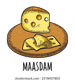 Pieces of cheese maasdam on wood board. Vector color vintage engraving illustration isolated on white background.