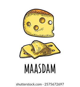 Pieces of cheese maasdam. Vector color vintage engraving illustration isolated on white background.