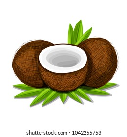Pieces of coconut with leaves isolated on white background. Realistic vector illustration.