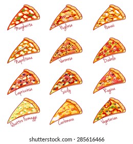 Pieces of the different kinds of pizza. Vector illustration on white background.