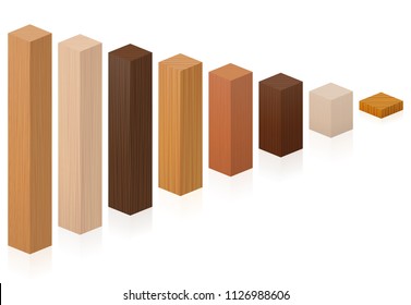 Pieces of different wood types getting shorter - wooden blocks from various trees. Isolated vector illustration on white background.