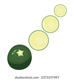 Pieces of fresh green zucchini on white background
