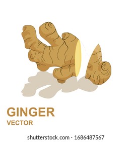 Trozos de jengibre con una sombra sobre un fondo blanco. Ilustración del vector