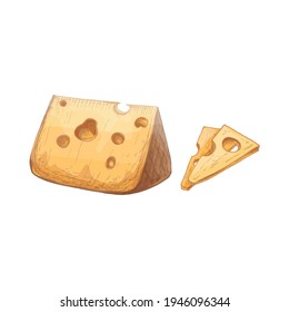 Pieces and head of cheese. Vector vintage hatching color illustration. Isolated on white background. Hand drawn design