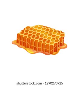 Pieces of honeycomb. Sweet fresh honey. Natural and healthy product. Flat vector design