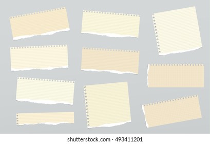 Pieces of light brown ruled torn note paper stuck on grey background