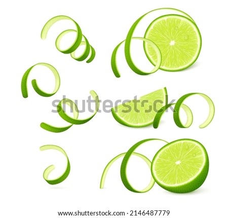Pieces of lime fruit with twisted zest (peel) isolated on white background. Realistic vector illustration. 