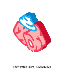 pieces of meat with mayonnaise seasoning icon vector. isometric pieces of meat with mayonnaise seasoning sign. color isolated symbol illustration