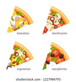 Pieces of pizza with various fillings. Set of sliced pizza with titles on white background. Vector illustration.