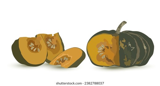 Pieces of ripe pumpkin. Set of sliced pumpkins vegetable with sweet pulp, green peel, seeds. Traditional autumn vegetables, harvest. Vegetarian food. Thanksgiving design. Farmers market. Vector