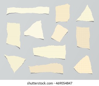Pieces of ripped brown ruled paper.