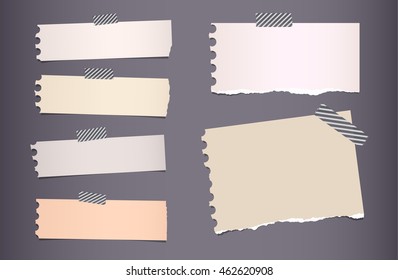 Pieces of ripped colorful notebook paper are stuck with sticky tape