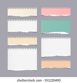 Pieces of ripped different size colorful note, notebook, copybook paper sheets stuck on gray background